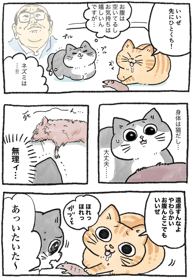 無理ィ