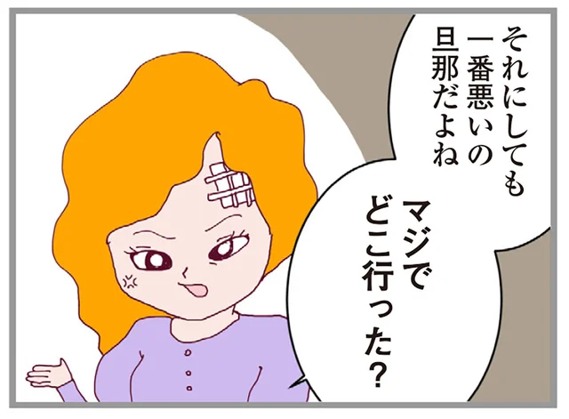 幼稚園のママ友にも手を出した最低夫。一体どこへ行ったんだろう／整形主婦 サレ妻の逆襲（15）