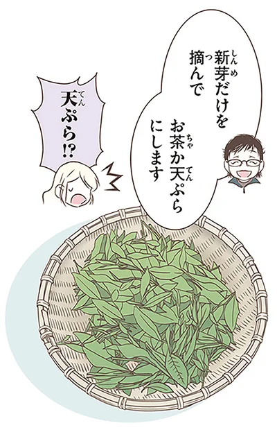 『北欧女子オーサが見つけた日本の不思議3』より
