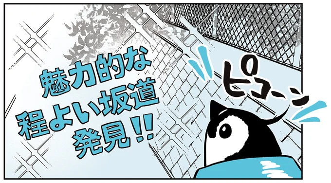 魅力的な程よい坂道発見！！