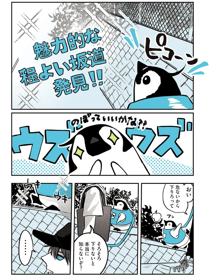 そろそろ下りないと本当に知らないぞ？