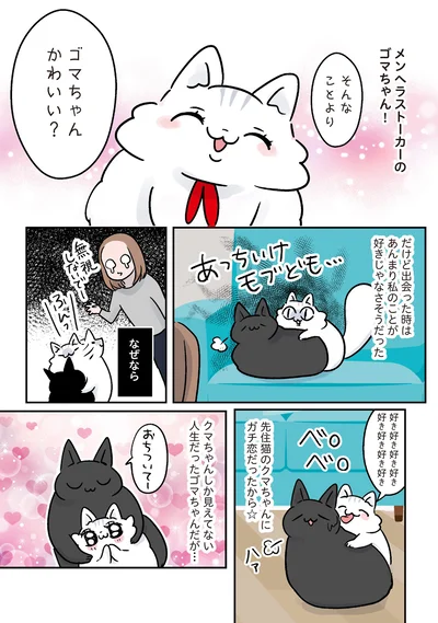 メンヘラストーカーのゴマちゃん！