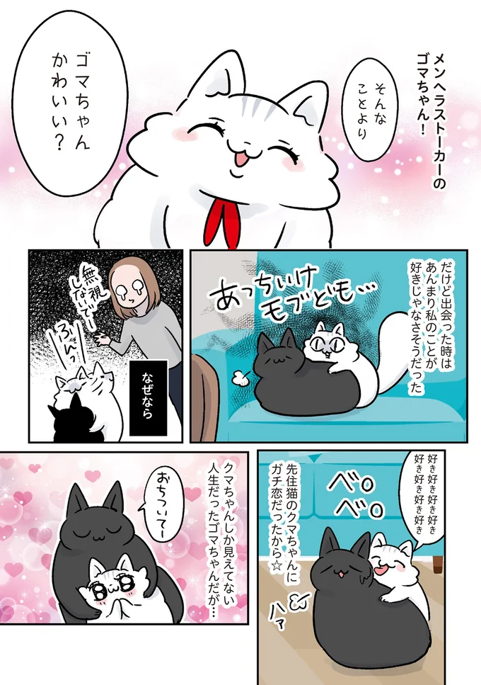 メンヘラストーカーのゴマちゃん！