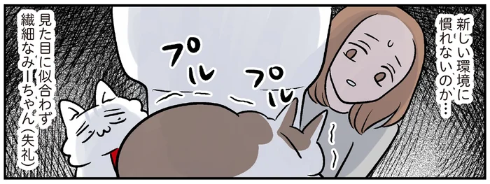 意外と繊細⁉新しいおうちに着いて、猫が真っ先に逃げ込んだ場所／マジレス幼児とモンペ猫（7）