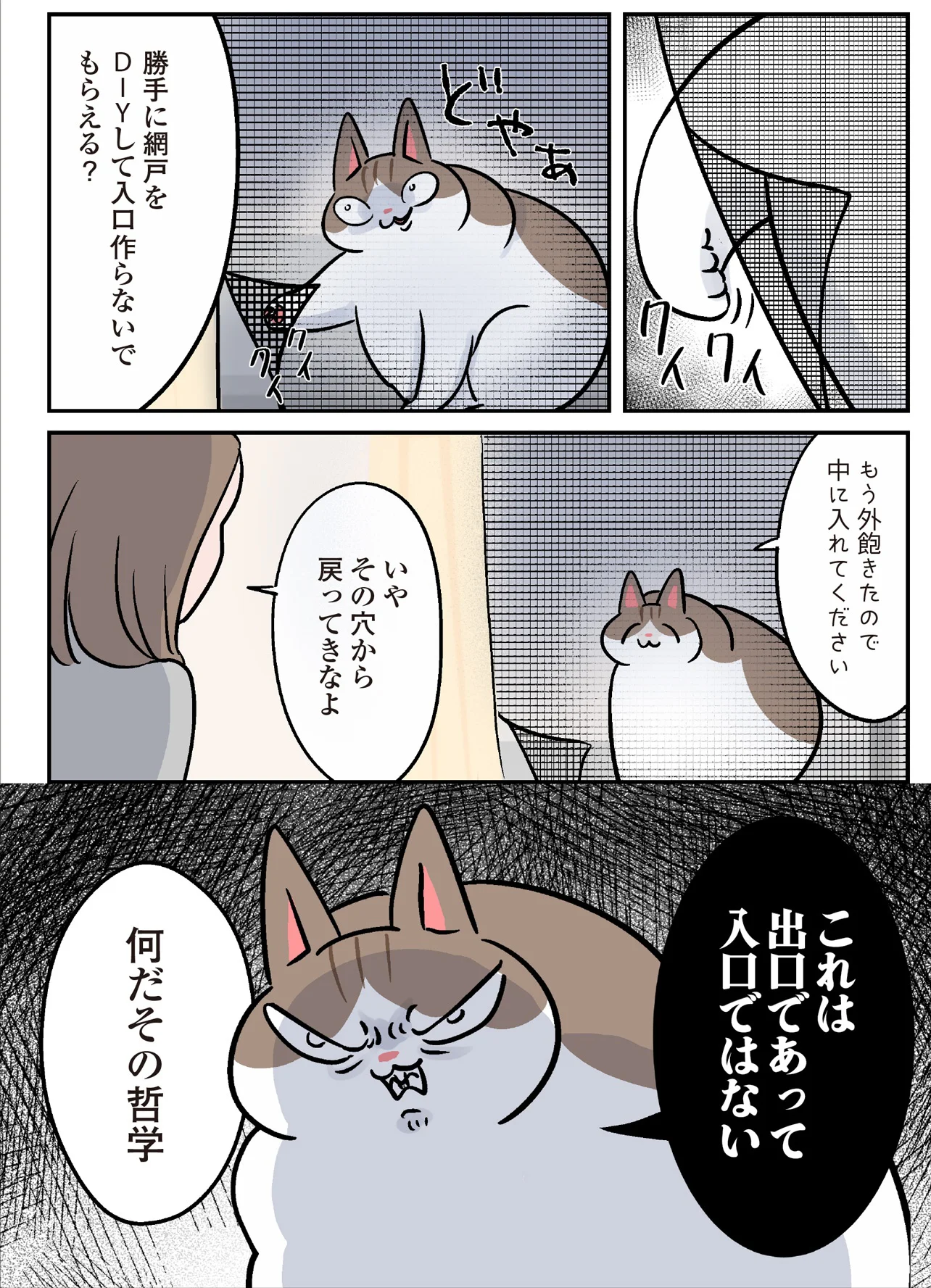 ぶた猫ページ 網戸は閉まっているはずなのに。いつの間にかドヤ顔で外にいる飼い猫