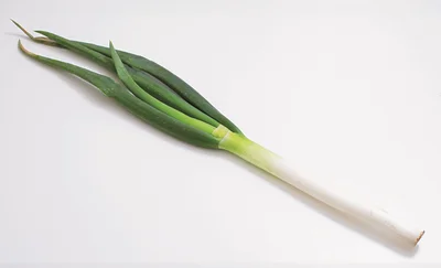 お皿においておくだけ！長ねぎ