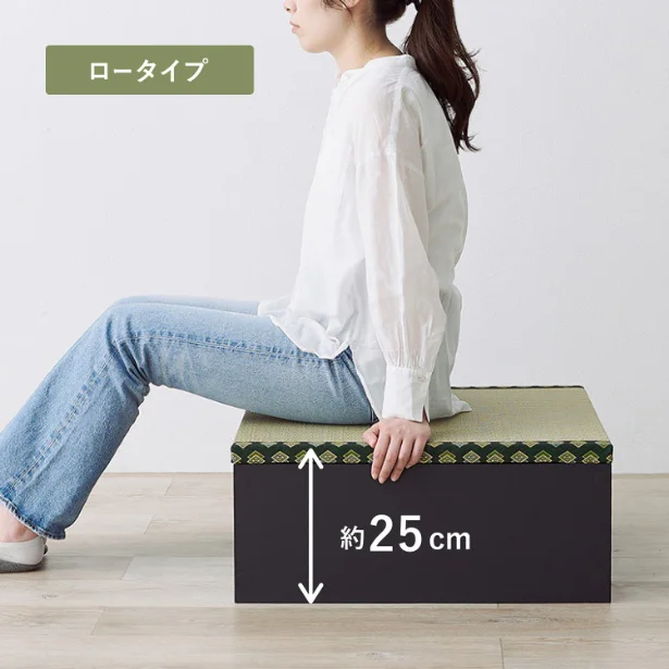 ロータイプ(約25センチ)