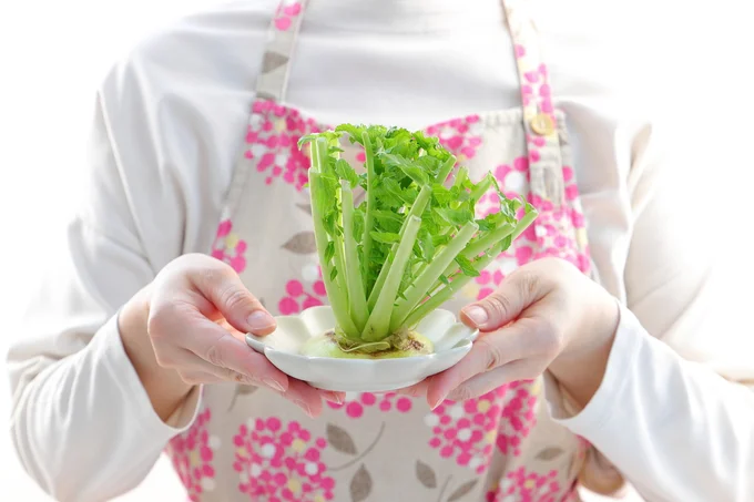 捨てる野菜の切れ端で「リボベジ」を!「大根」&「チンゲンサイ」の栽培のコツ