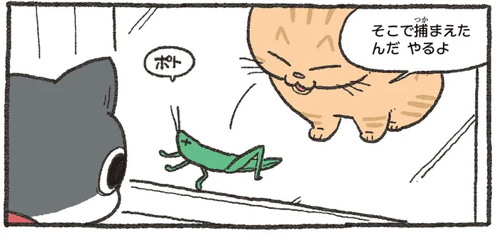 世話になった先輩猫と再会。窓越しに「やるよ」と差し出された手土産にギョッ！／ねこに転生したおじさん3（1）
