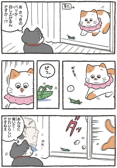 召し上がるんですか…！？