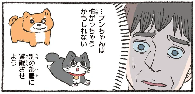 甥っ子が柴犬を連れてきた！愛猫が怖がるかもと心配する社長をよそに「ねこおじ」は／ねこに転生したおじさん3（4）