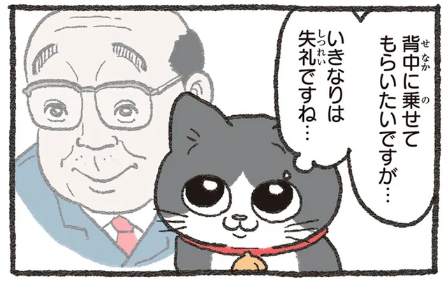 まずは仲良くなることから。柴犬の背中に乗せてもらいたい「ねこおじ」の作戦／ねこに転生したおじさん3（5）
