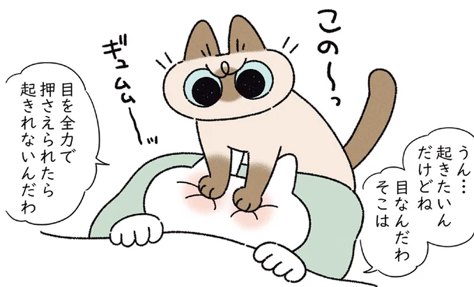 起きたいんだけどね