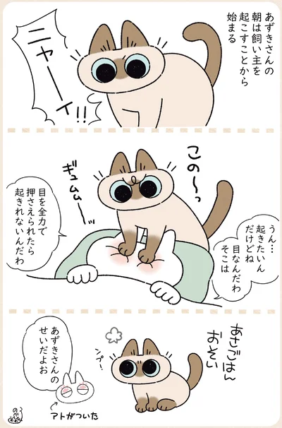 あずきさんの朝