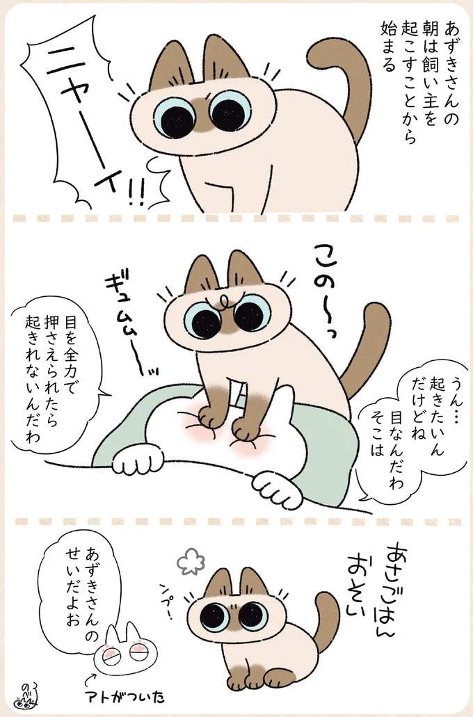 あずきさんの朝