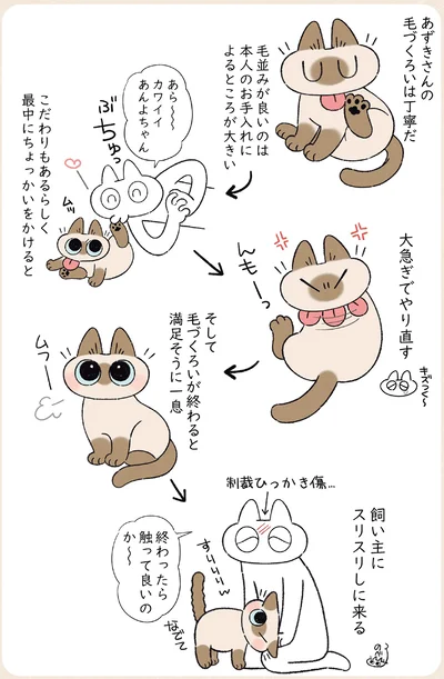 『ますます!!!!!! シャム猫あずきさんは世界の中心』より