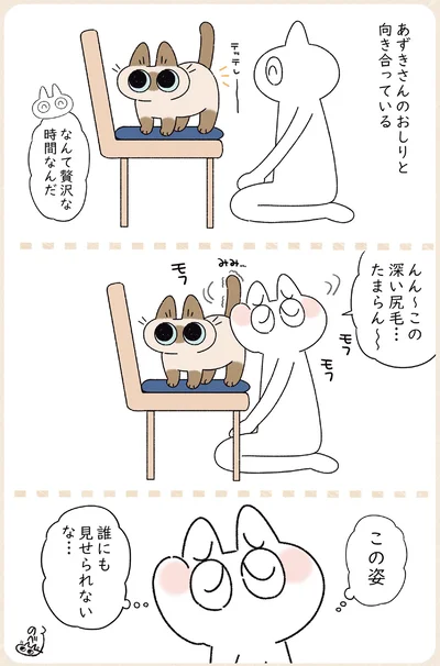 『ますます!!!!!! シャム猫あずきさんは世界の中心』より