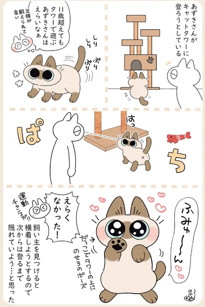 『ますます!!!!!! シャム猫あずきさんは世界の中心』より