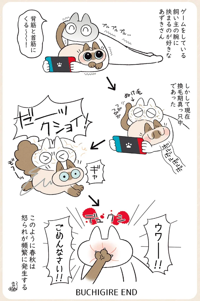 『ますます!!!!!! シャム猫あずきさんは世界の中心』より