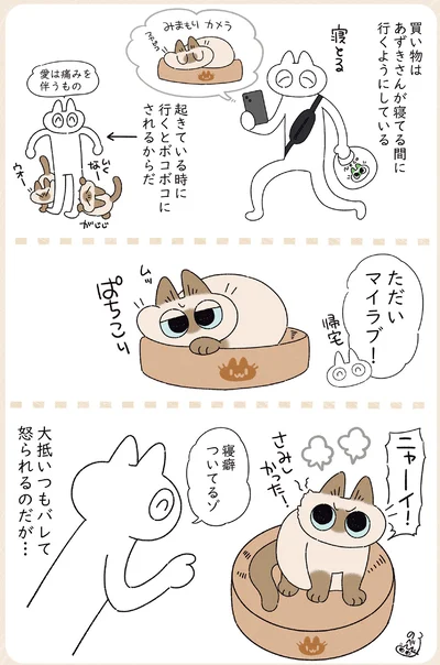 『ますます!!!!!! シャム猫あずきさんは世界の中心』より