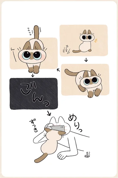 『ますます!!!!!! シャム猫あずきさんは世界の中心』より