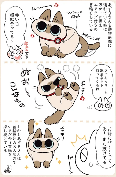 『ますます!!!!!! シャム猫あずきさんは世界の中心』より