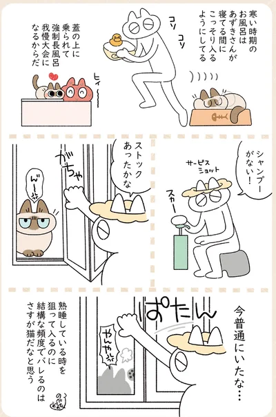 『ますます!!!!!! シャム猫あずきさんは世界の中心』より