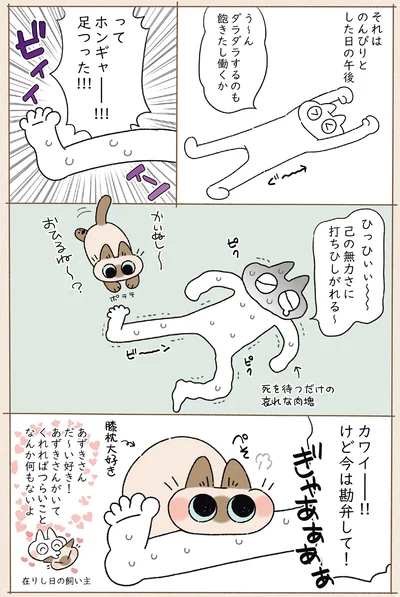 『ますます!!!!!! シャム猫あずきさんは世界の中心』より