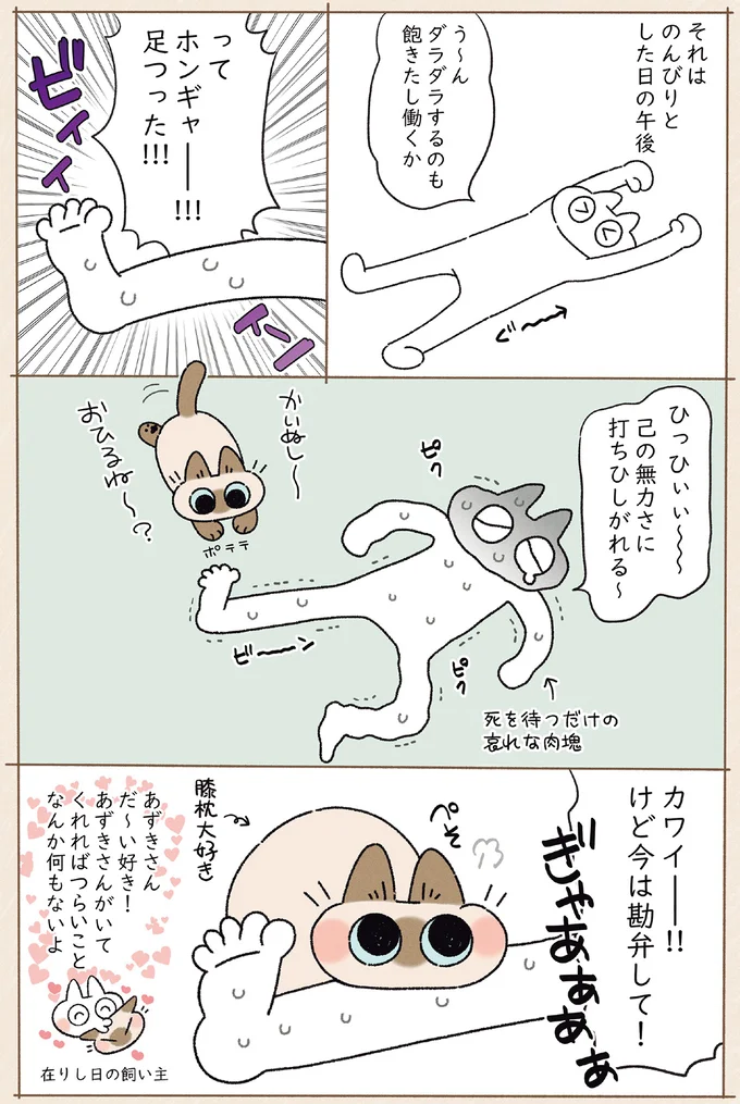 『ますます!!!!!! シャム猫あずきさんは世界の中心』より