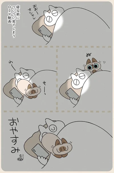 『ますます!!!!!! シャム猫あずきさんは世界の中心』より