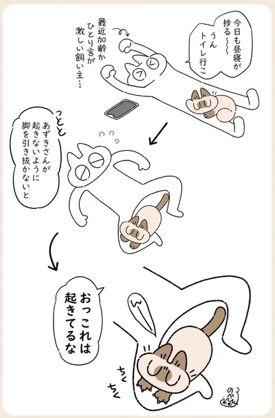 『ますます!!!!!! シャム猫あずきさんは世界の中心』より