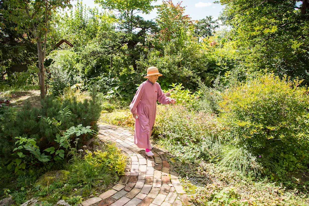 天気の良い日は庭を散歩