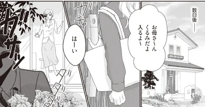 『43歳の母を妊娠させたのは私の夫でした』より