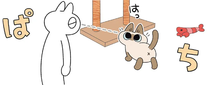 飼い主を見つけると横着する！ 猫がキャットタワーに登ろうとしている姿を目撃