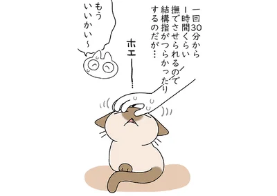 満足するまでナデナデ