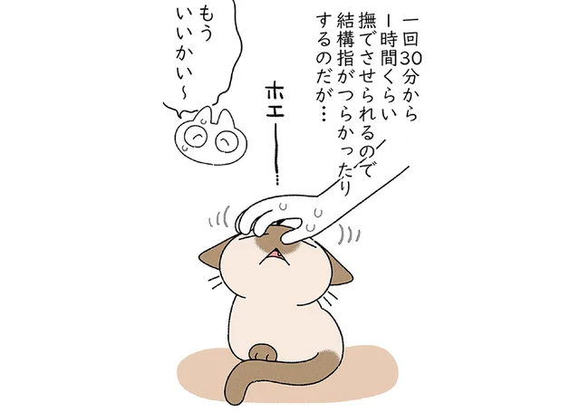 満足するまで頭を撫で続ける！ 手がしんどくなっても猫の満足そうな顔には勝てません／ますます!!!!!! シャム猫あずきさんは世界の中心（7）