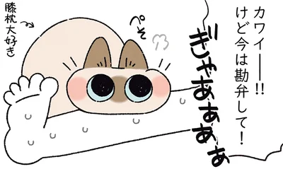 今は勘弁して！