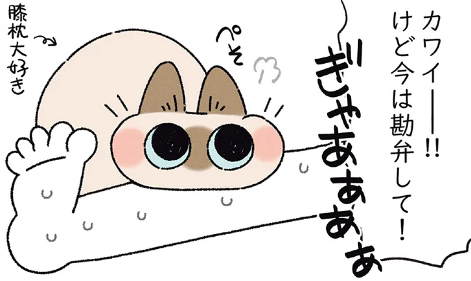 今は勘弁して！