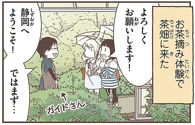静岡へようこそ！