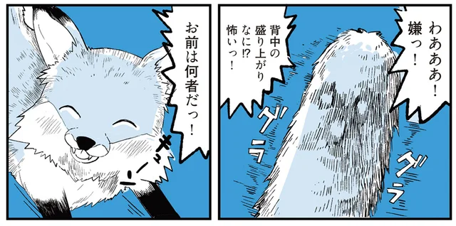 一体何者？ ロードバイクに追いつく速度で並走するキツネのような何か／動物たちが残した不思議なメッセージ（3）