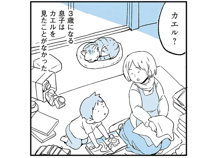 「カエルってなに？」息子の無邪気な問いに答えるような猫の行動がスゴい／動物たちが残した不思議なメッセージ（4）