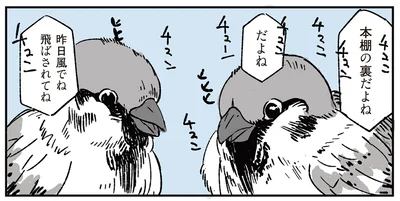 スズメの会話