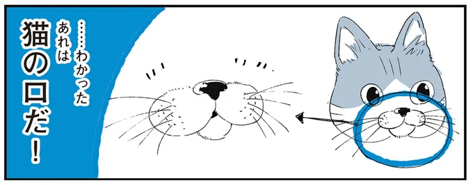 猫の口が浮いてる!