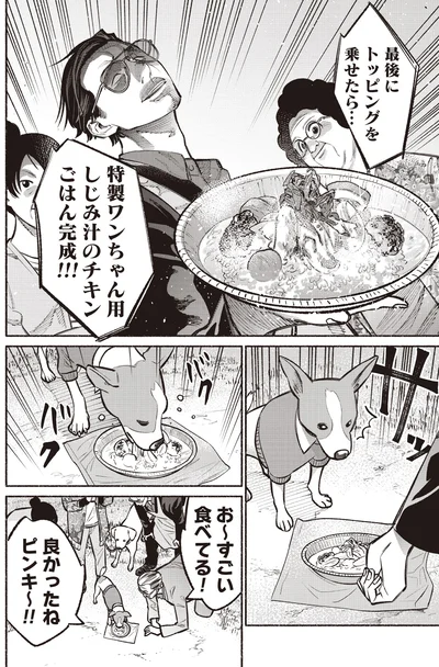 特製ワンちゃん用しじみ汁チキンごはん完成！！！