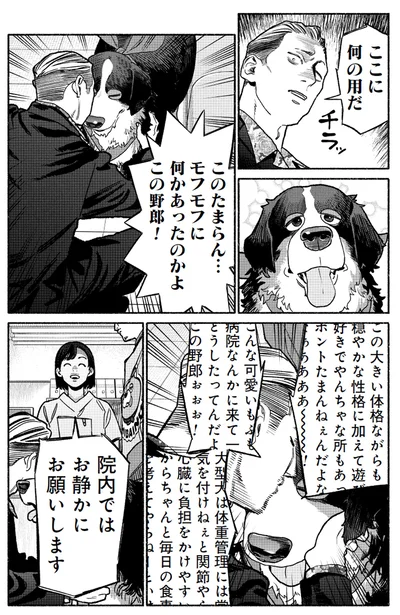 『極主夫道』より
