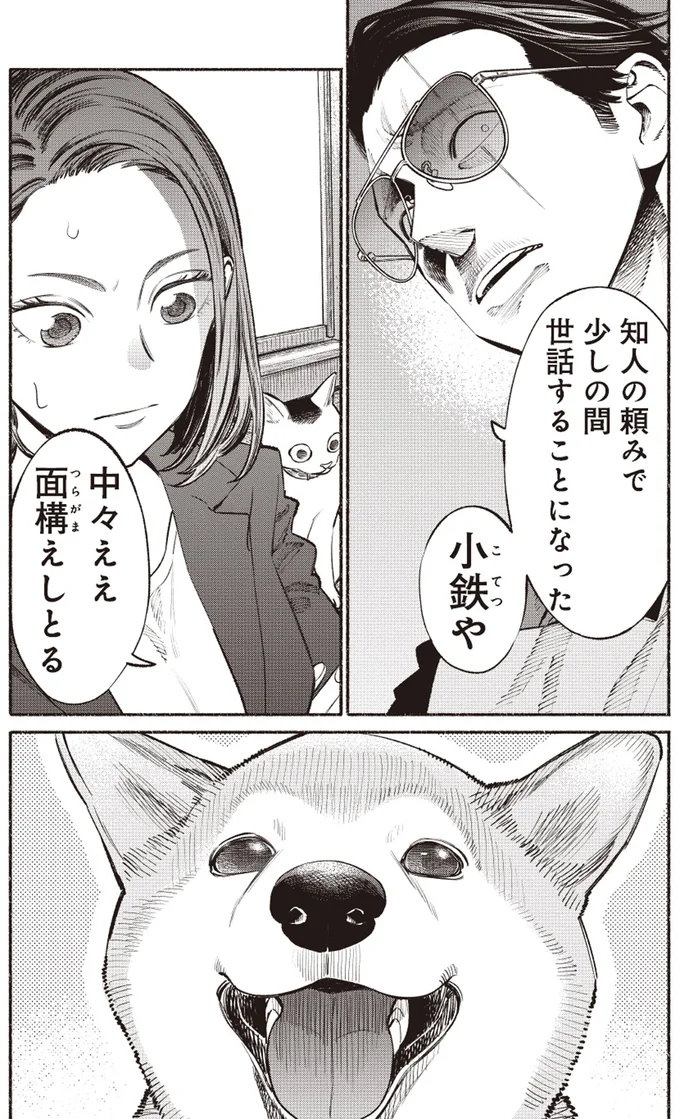 知人の頼みで少しの間世話することになった