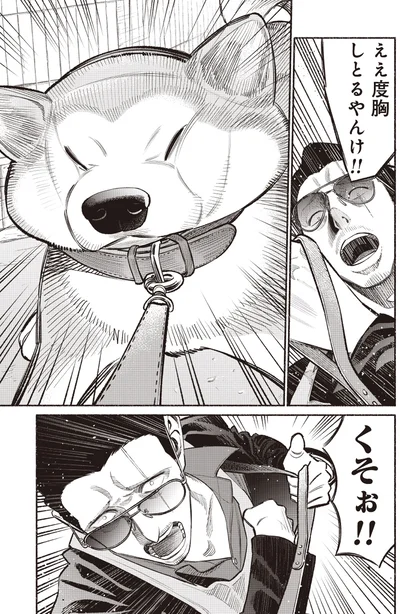 ええ度胸してるやんけ！！