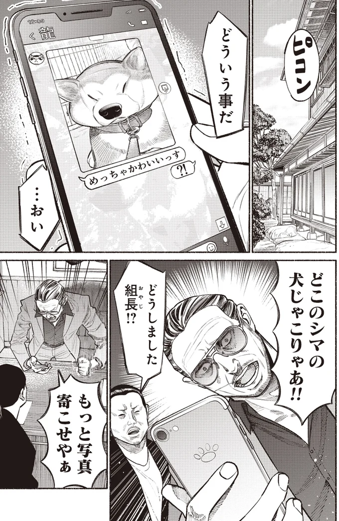 どういう事だ