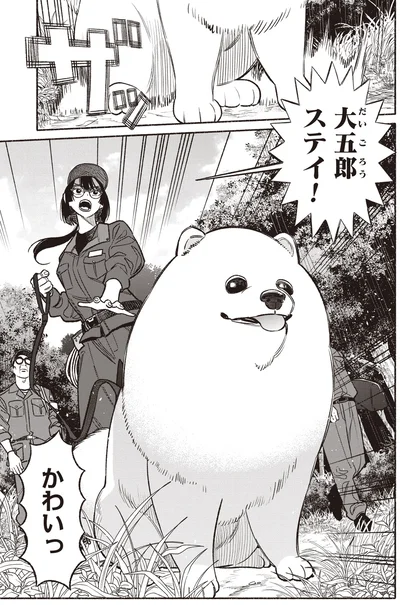 大五郎ステイ！