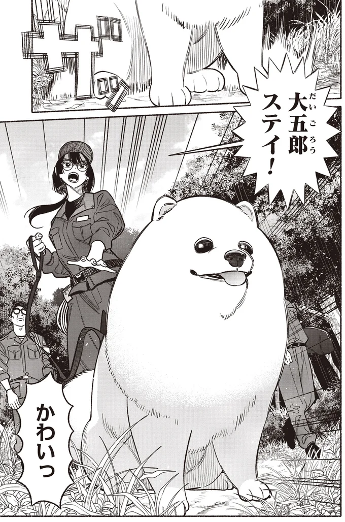 大五郎ステイ！